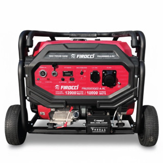 موتور برق 12کیلو وات خروجی تکفاز فیروچی مدل FRG20000E2-A-RC